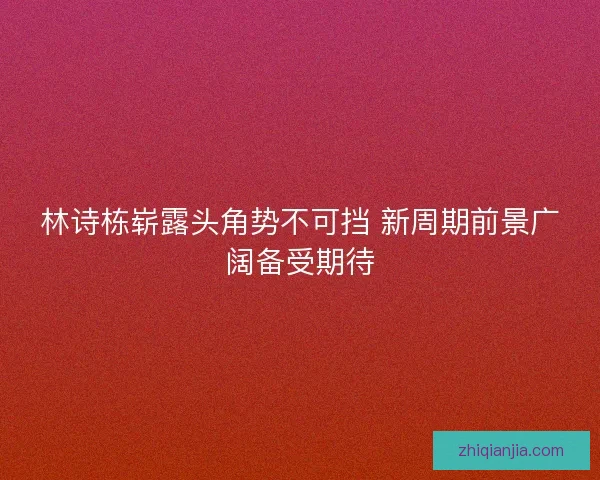 林诗栋崭露头角势不可挡 新周期前景广阔备受期待