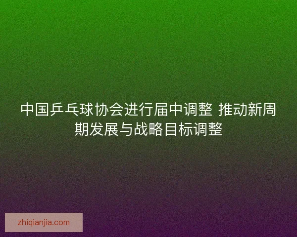 中国乒乓球协会进行届中调整 推动新周期发展与战略目标调整